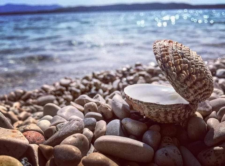 Apartmaji Soncek Izola Exteriér fotografie