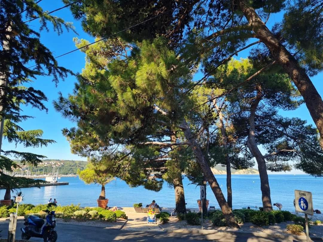 Apartmaji Soncek Izola Exteriér fotografie