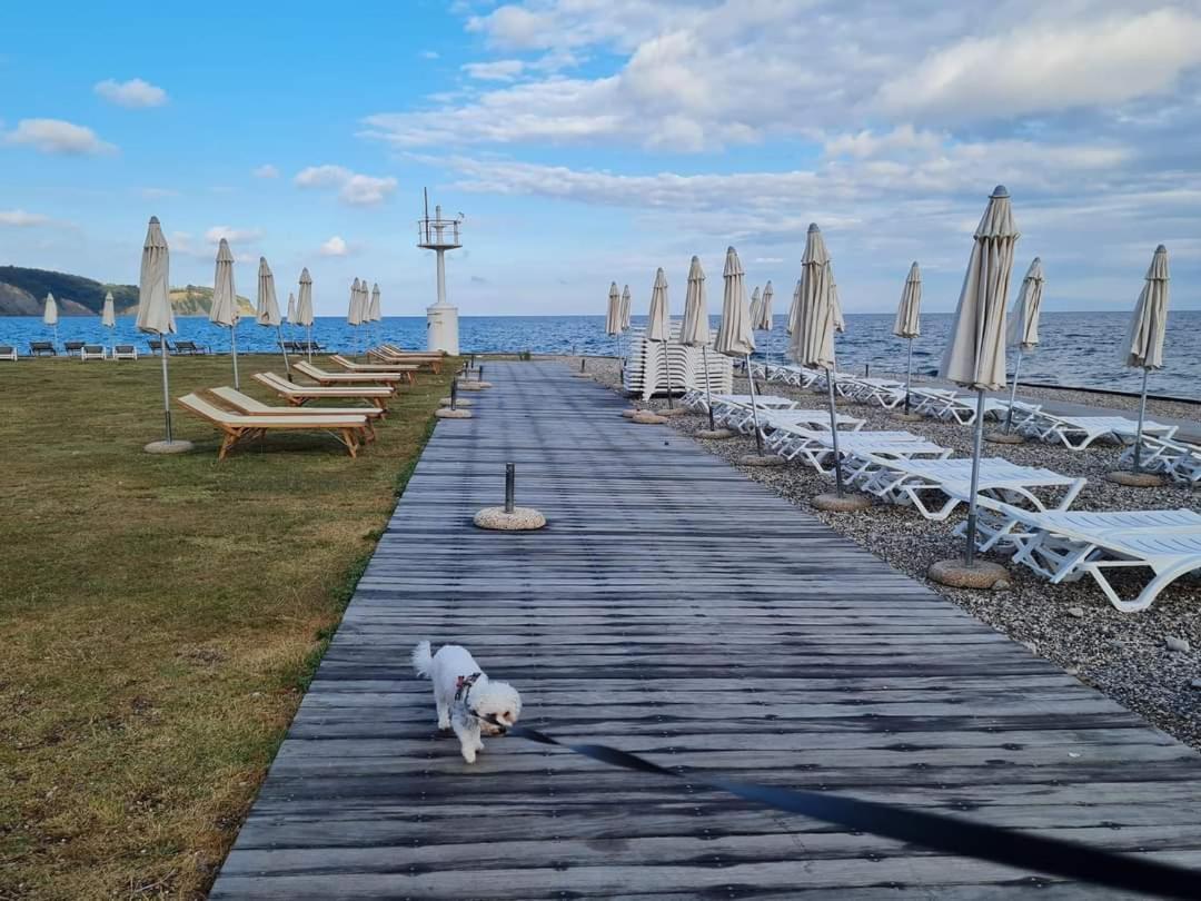 Apartmaji Soncek Izola Exteriér fotografie